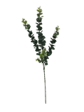 5 Pack - Long Eucalyptus Stem 77 cm