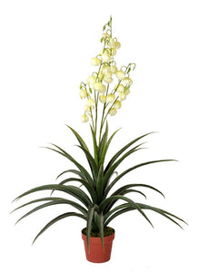 Artificial Yucca Gloriosa 120cm