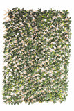 Laurel Hedge Extendable Light Timber Trellis / Screen 2 Meter By 1 Meter UV Stabilised