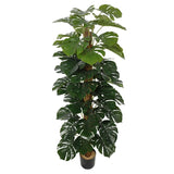 Artificial Money Plant (Monstera) with decorative pot 180cm