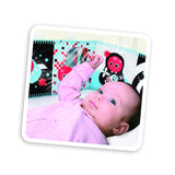 Lights & Music First Book