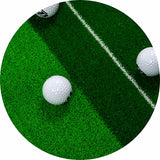 Indoor Practice Putting Green 2.5m Mat Inclined Ball Return Fake Grass 2 Holes