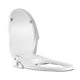 Toilet Bidet Seat Non Electric Hygiene Dual Nozzles Spray Wash Bathroom O shape