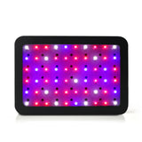 Green Fingers 600W LED Grow Light Full Spectrum