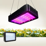 Green Fingers 1000W LED Grow Light Full Spectrum