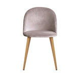 Artiss Set of Two Velvet Modern Dining Chair - Light Grey