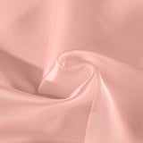 Royal Comfort Pure Silk Pillow Case 100% Mulberry Silk Hypoallergenic Pillowcase 51 x 76 cm Blush