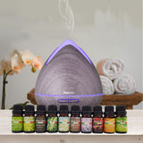 Purespa Diffuser Set With 10 Pack Diffuser Oils Humidifier Aromatherapy  Violet