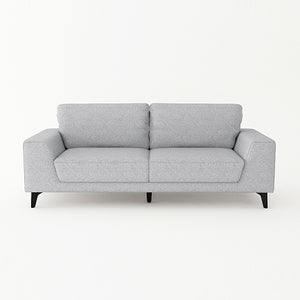 2 Seater Sofa Light Grey Fabric Lounge Set for Living Room Couch with Solid Wooden Frame Black Legs