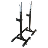 Squat/Bench Press Rack