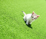 Synthetic Artificial Grass Turf 5 sqm Roll - 20mm