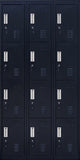 Standard locks 12 Door Locker for Office Gym - Black