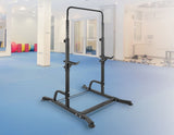 Bench Press Gym Rack and Chin Up Bar