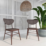 Sammy Modern Retro Brown Outdoor Dining Chair Set of 2