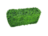 Deluxe Portable Buxus (Bright) UV Resistant 100cm Long x 50cm High x 25cm Wide