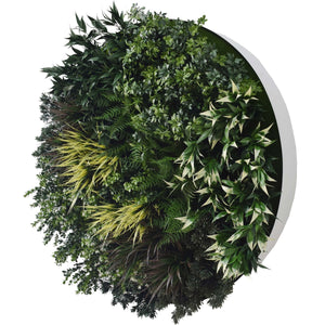 UV Green Field Green Wall Disc (White) 100cm