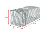 Humane Animal Trap Possum Cage