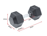 25KG Commercial Rubber Hex Dumbbell Gym Weight